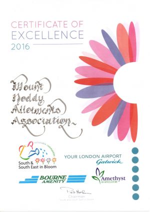 Certificate of Excellence 2016